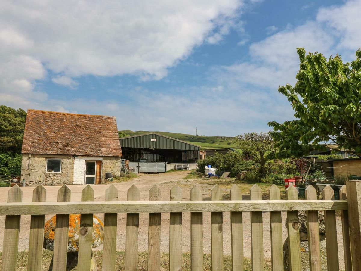 Chale Farm Lodge Ventnor Zewnętrze zdjęcie